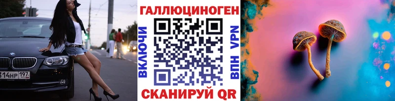 Псилоцибиновые грибы Psilocybe  сколько стоит  Облучье 